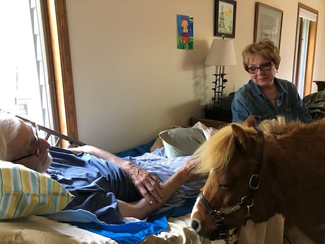 animal compassionate guest patient care